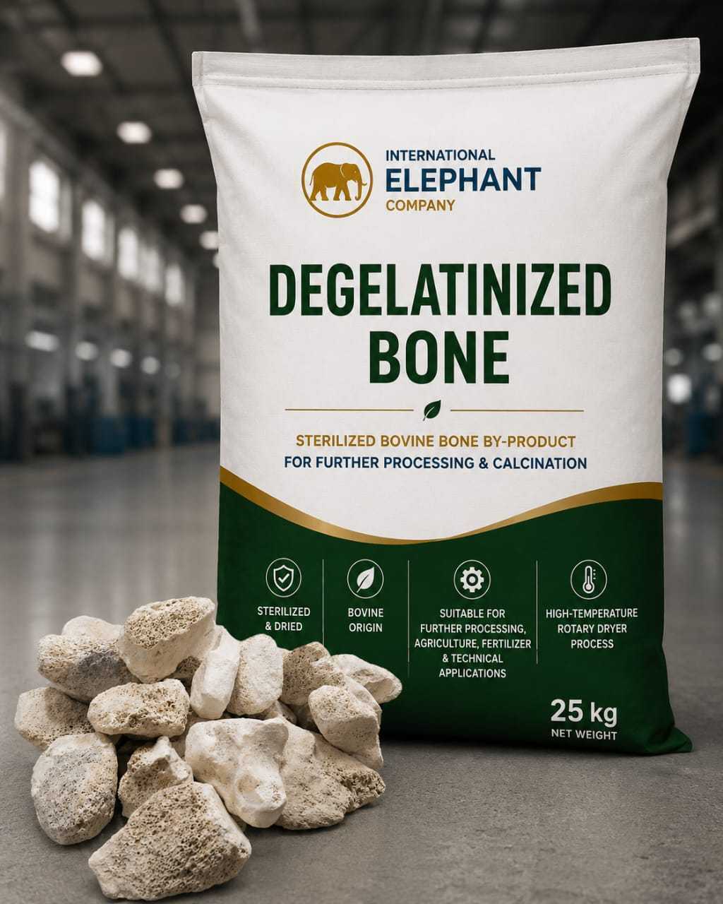 Degelatinized Bone