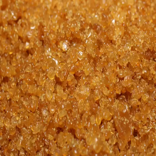 Animal Glue Pearl